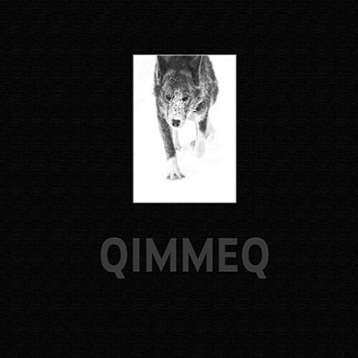 Qimmeq - Den Grønlandske Slædehund - Carsten Egevang - Bog