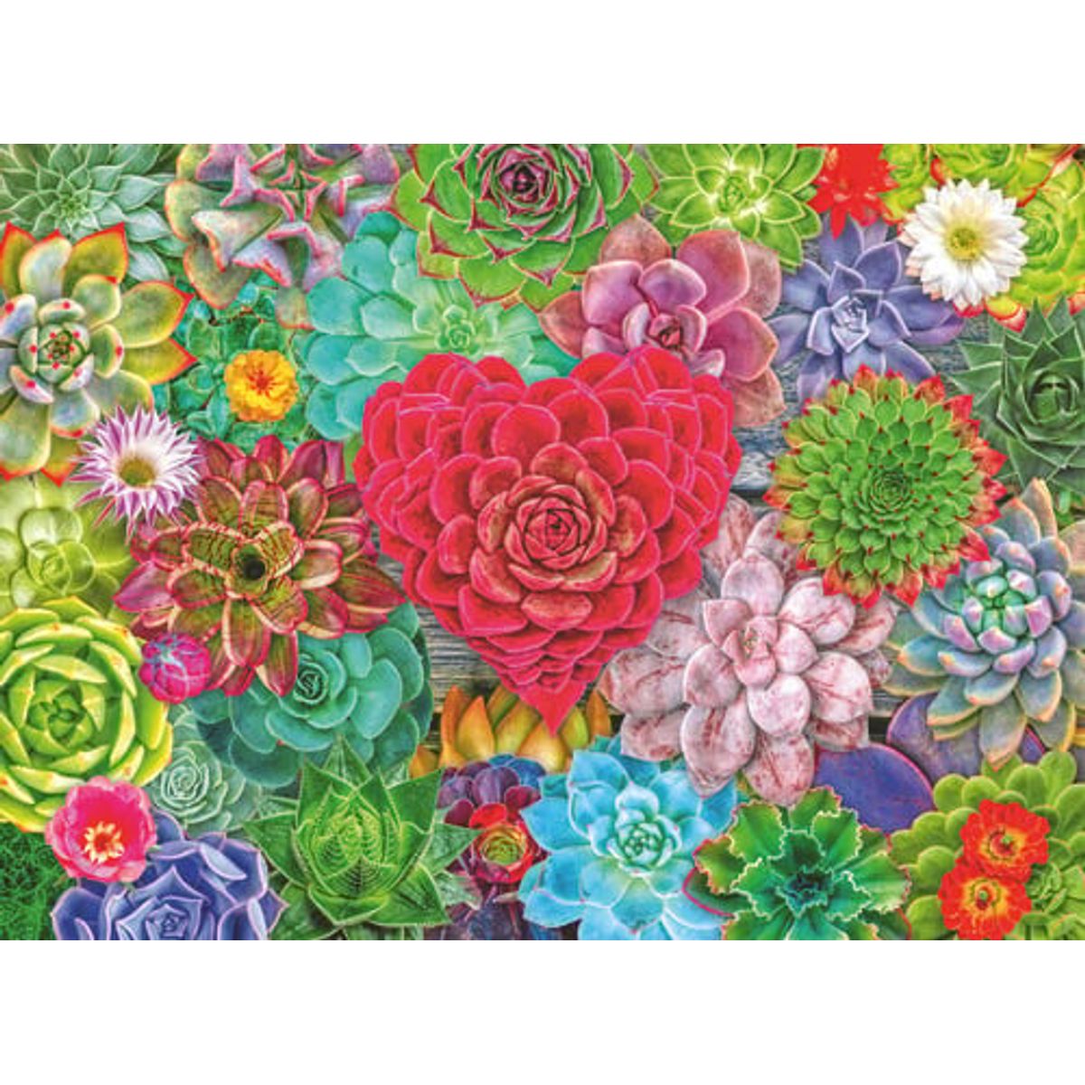 Ravensburger - Succulent Love - 500 Brikker