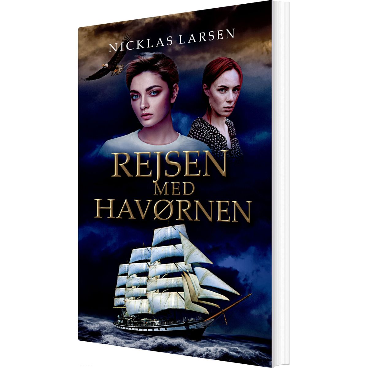 Rejsen Med Havørnen - Nicklas Larsen - Bog