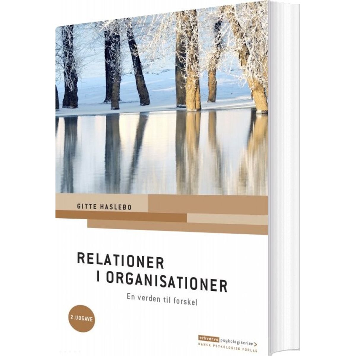 Relationer I Organisationer - Gitte Haslebo - Bog