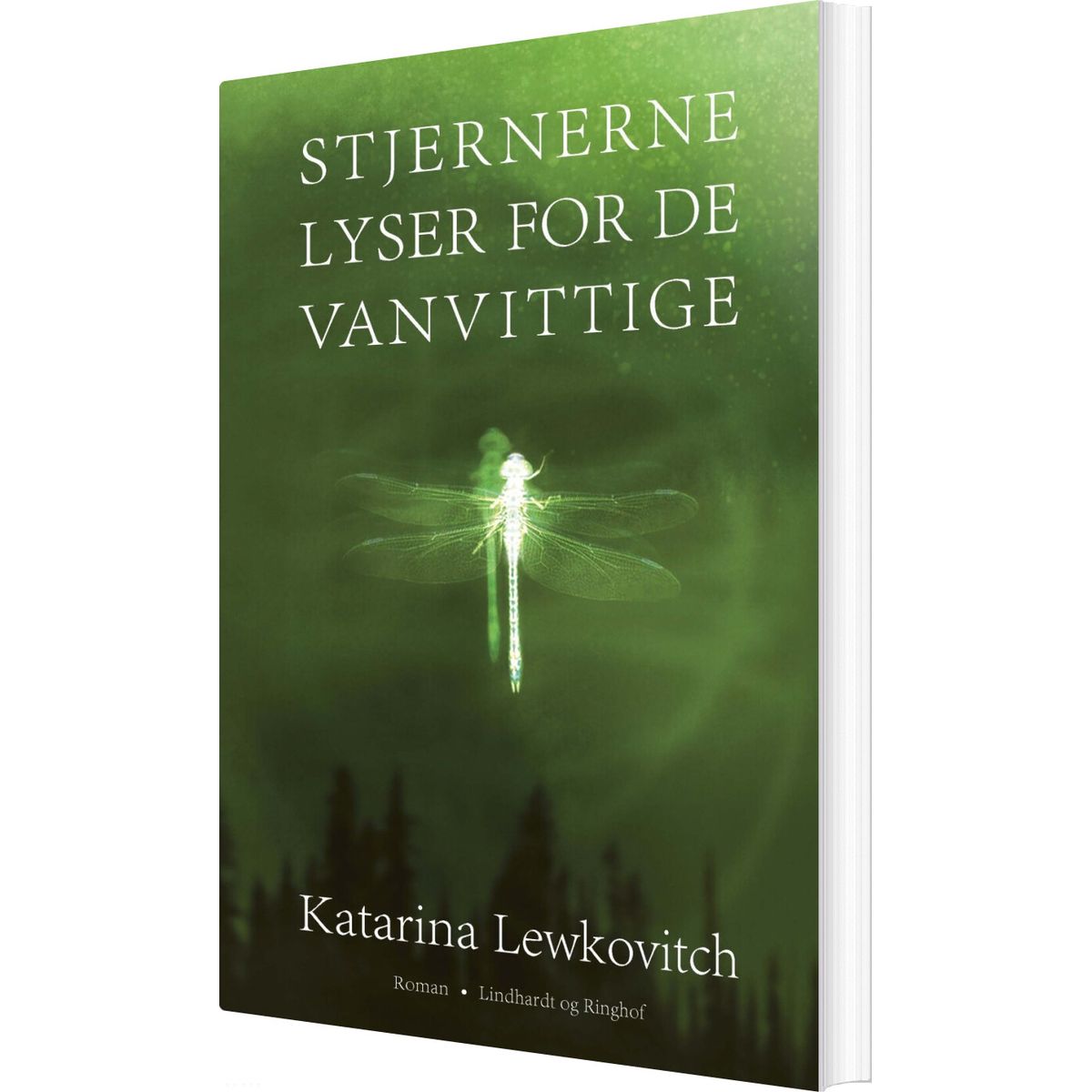 Stjernerne Lyser For De Vanvittige - Katarina Lewkovitch - Bog