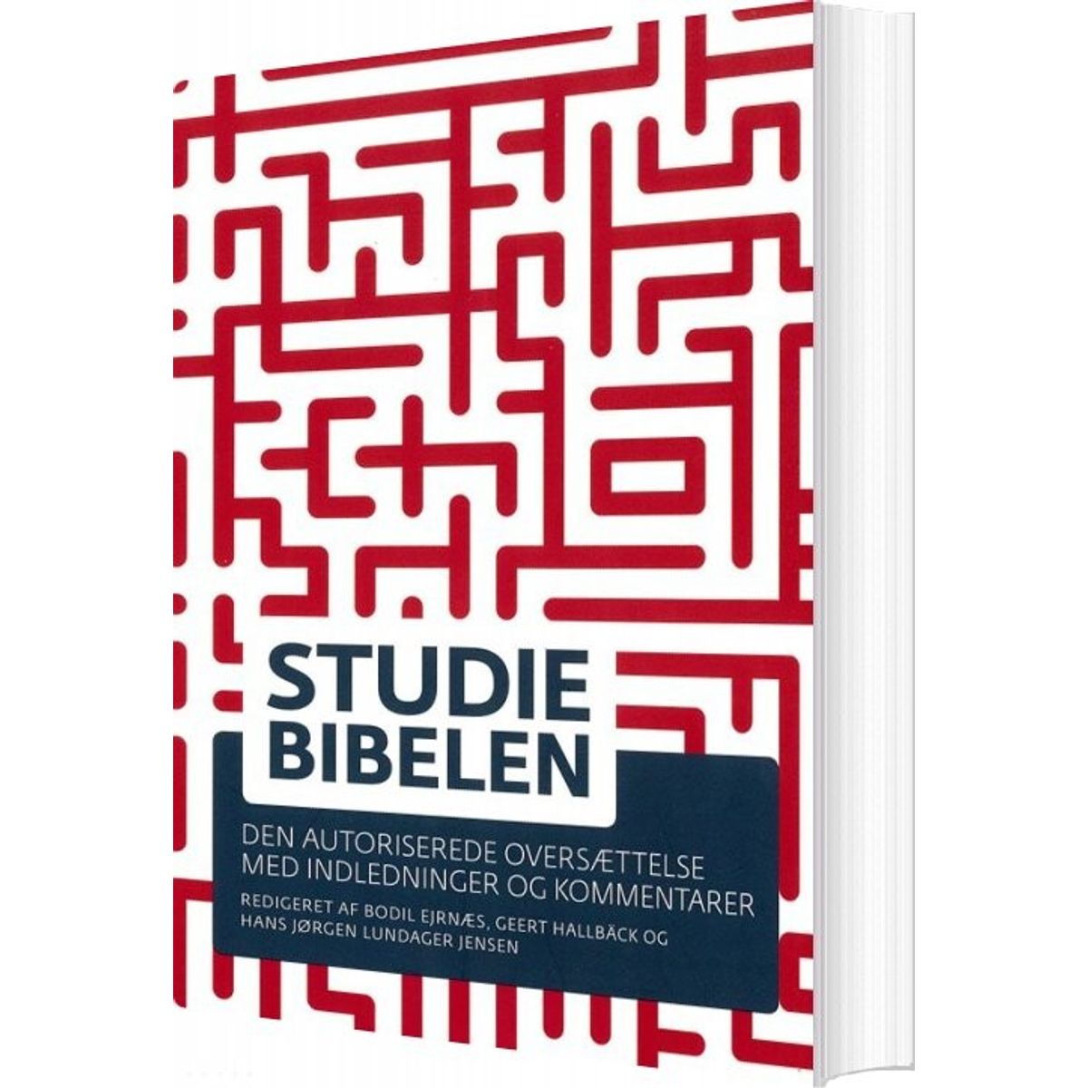 Studiebibelen - Bodil Ejrnæs - Bog