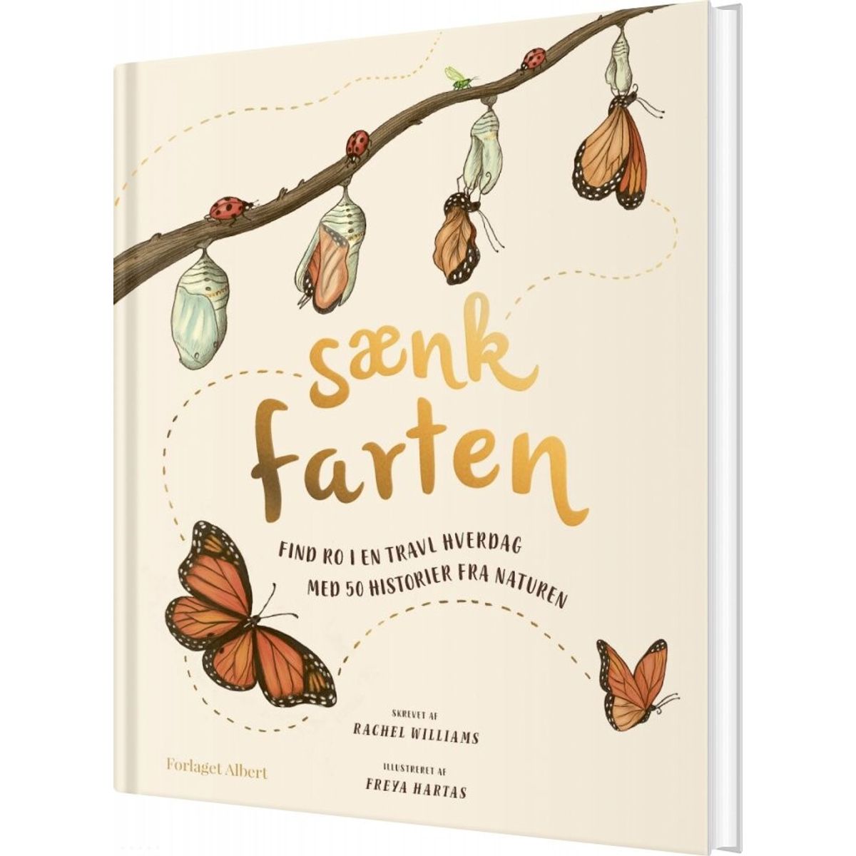 Sænk Farten - Rachel Williams - Bog