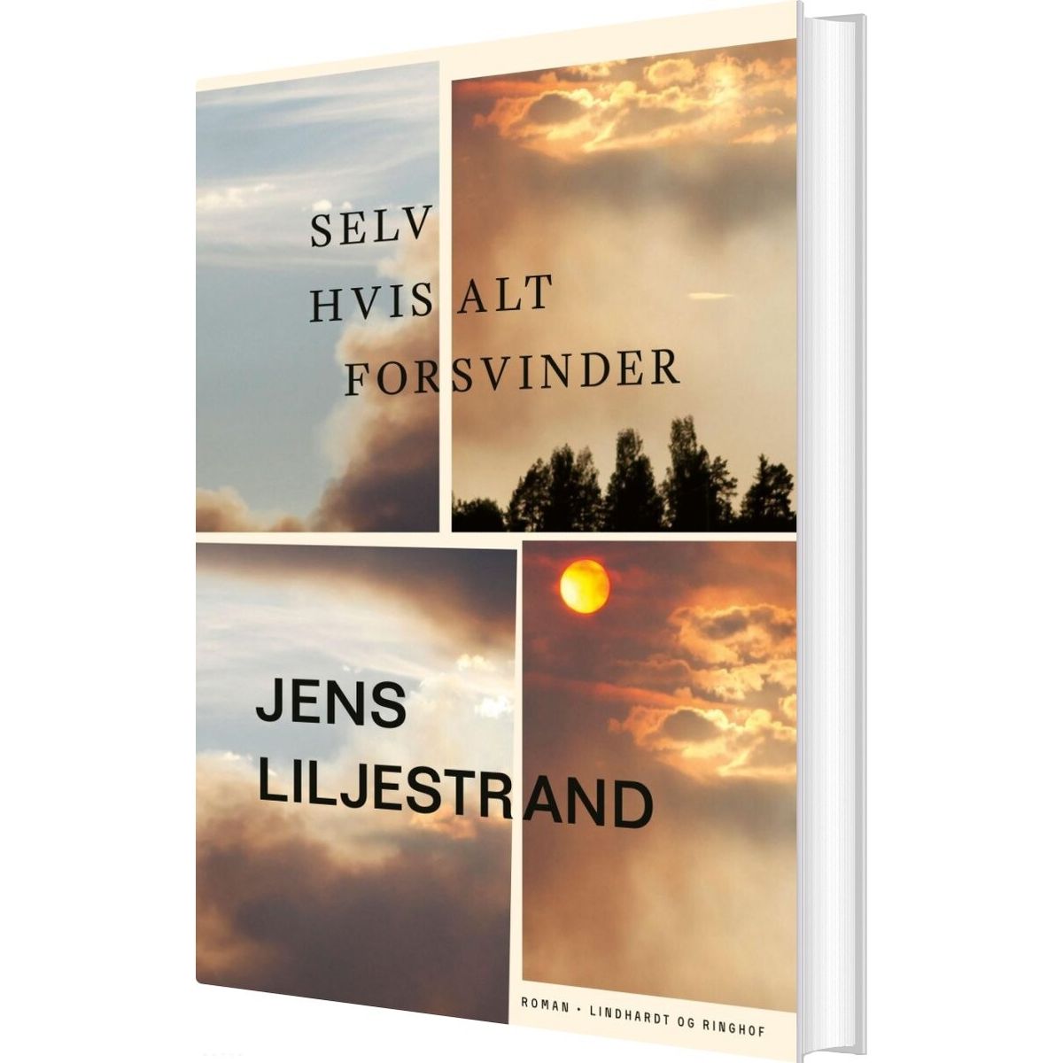 Selv Hvis Alt Forsvinder - Jens Liljestrand - Bog