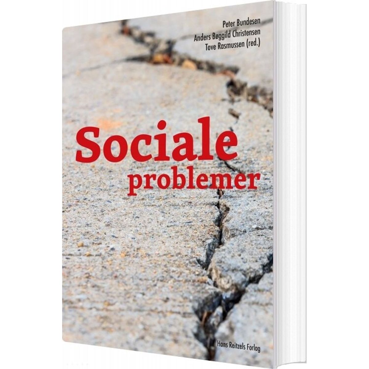 Sociale Problemer - Jørgen Elm Larsen - Bog