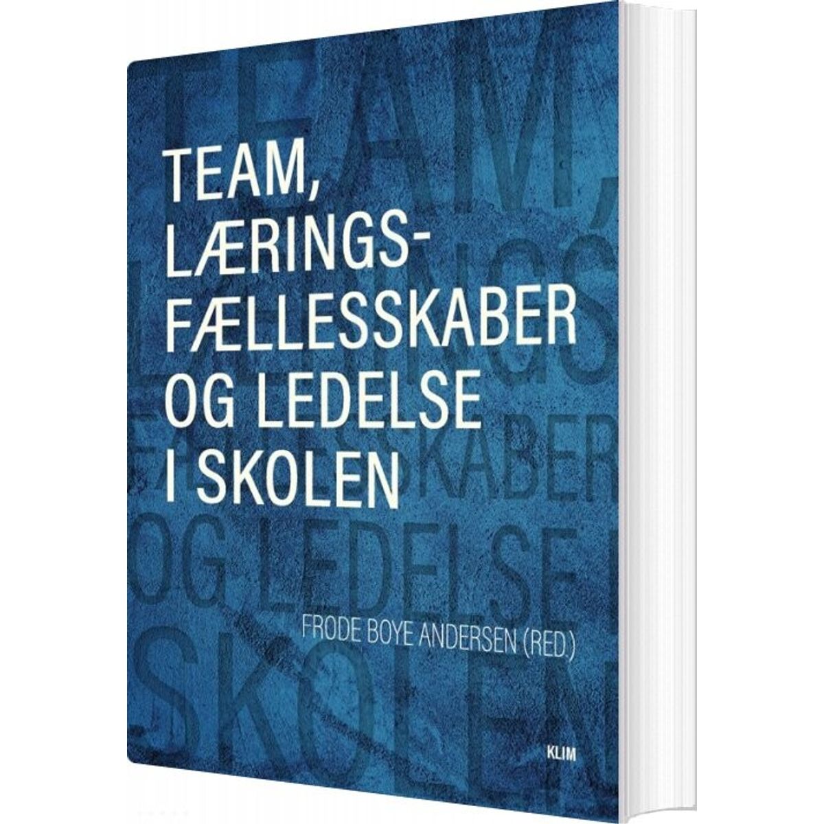 Team, Læringsfællesskaber Og Ledelse - Frode Boye Andersen - Bog