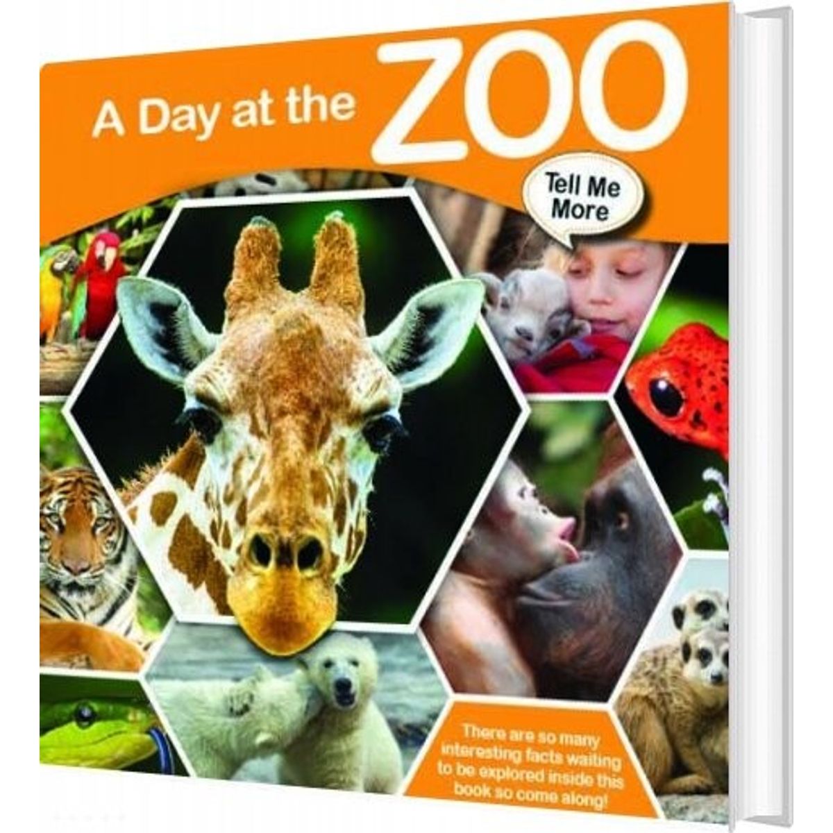 Tell Me More - A Day At The Zoo - English book