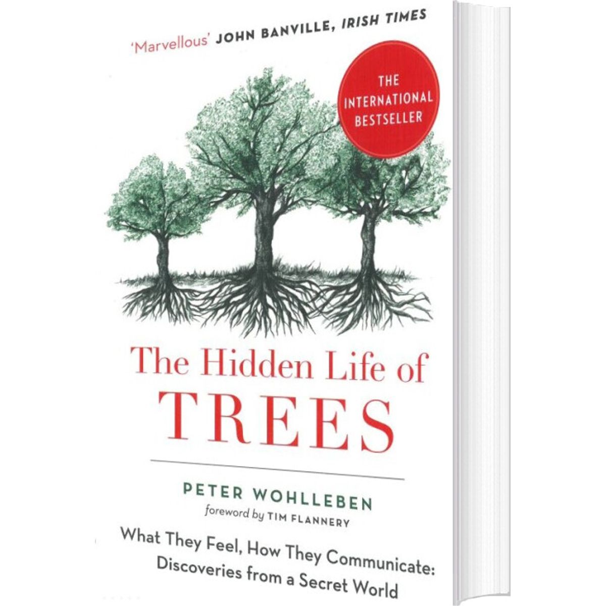 The Hidden Life Of Trees: What They Feel, How They Communicate - Peter Wohlleben - English Book