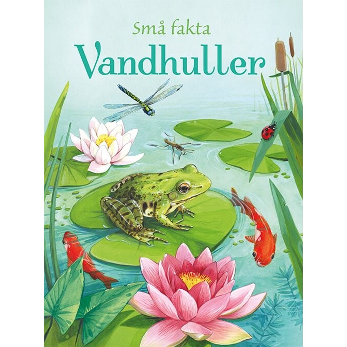 Små Fakta - Vandhuller - Emily Bone - Bog