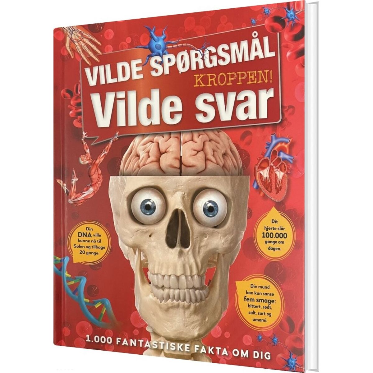 Vilde Spørgsmål Vilde Svar - Kroppen - Bog