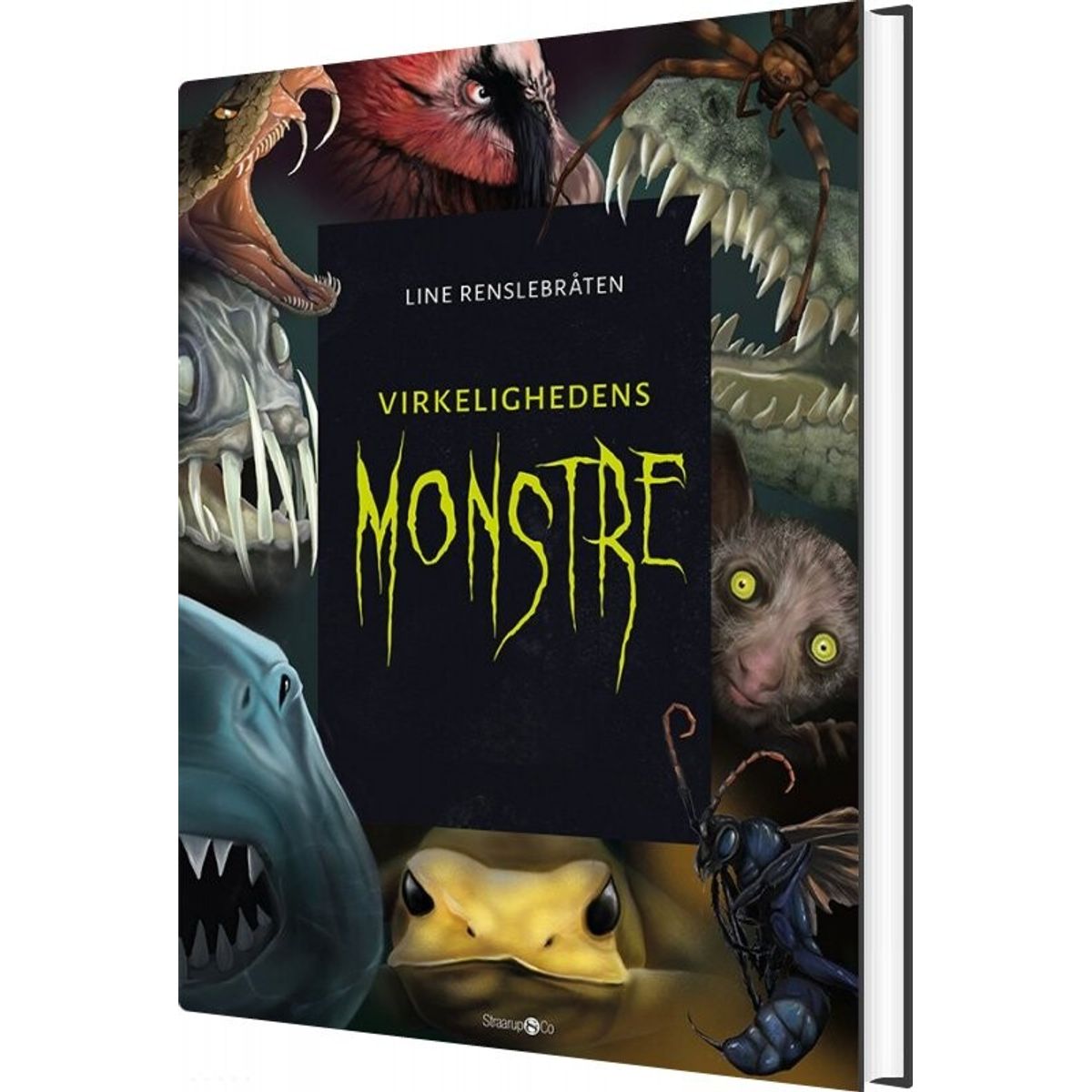 Virkelighedens Monstre + Monsterkort - Line Renslebråten - Bog