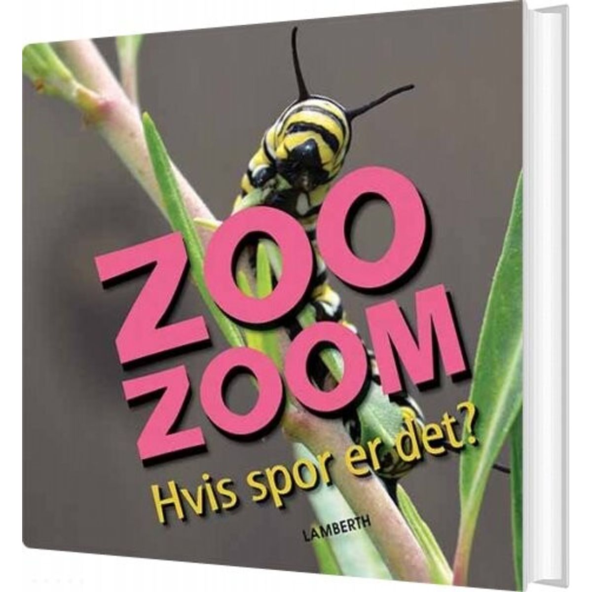 Zoo-zoom - Hvis Spor Er Det? - Christa Pöppelmann - Bog