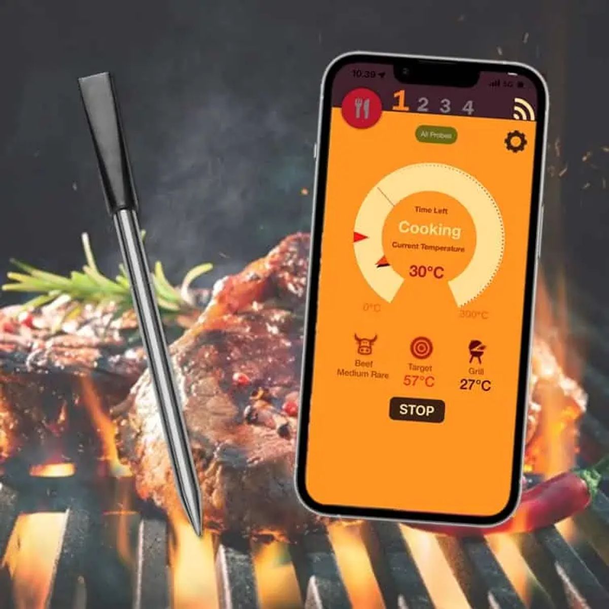 Grillngo Smart Wireless