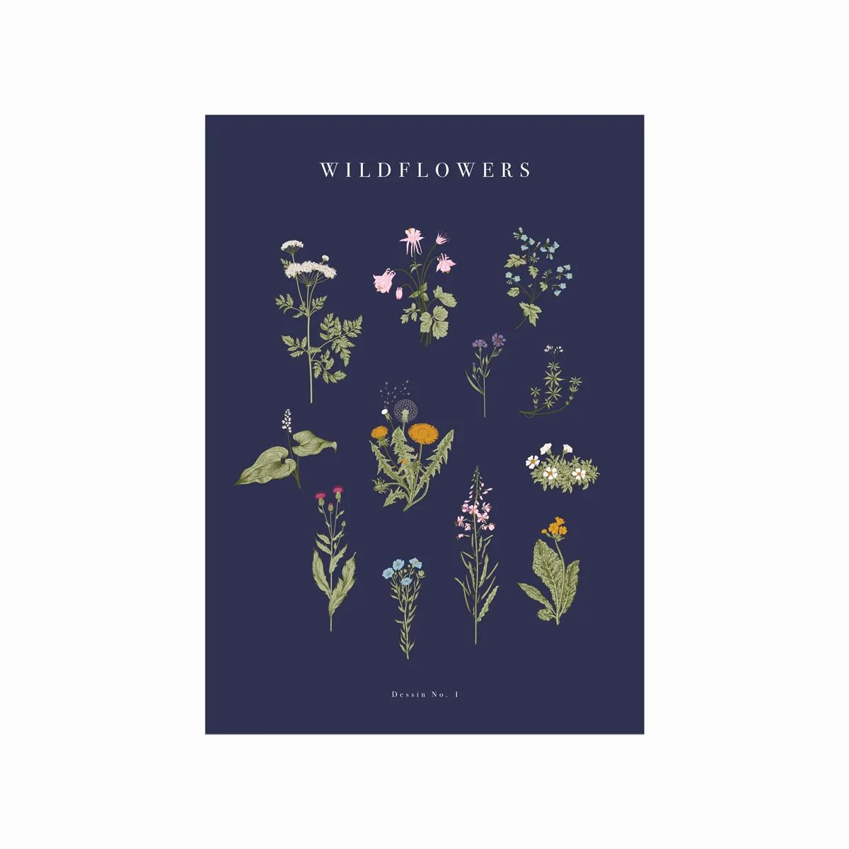 Wildflowers