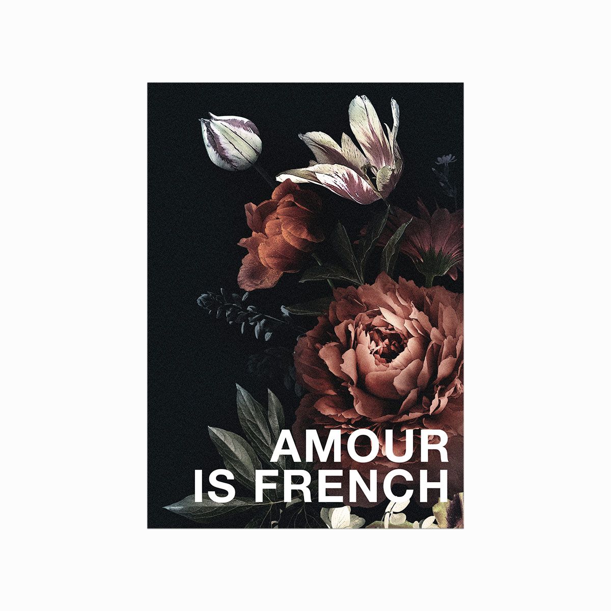 Amour is French