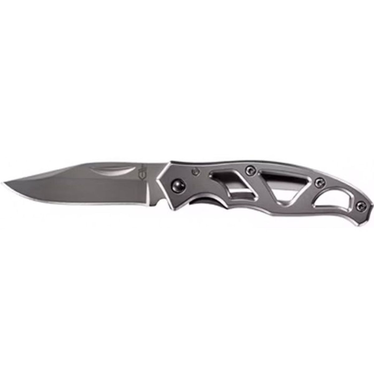 Gerber Paraframe Mini Folder