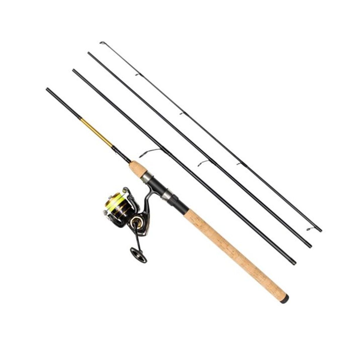 Daiwa Gold Rush LT 4-delt Sæt inkl. Line