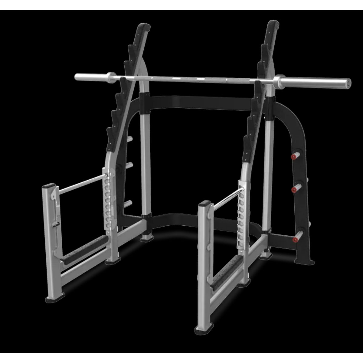 Nautilus Inspiration Olympisk Squat Rack Sølv