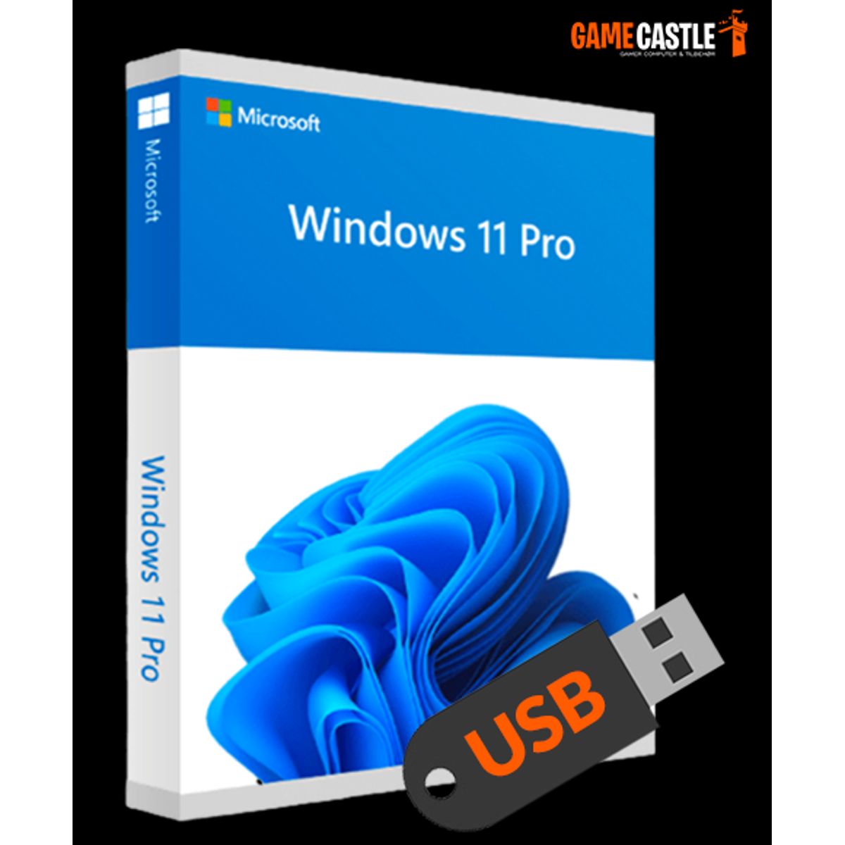 Windows 11 Professional med USB