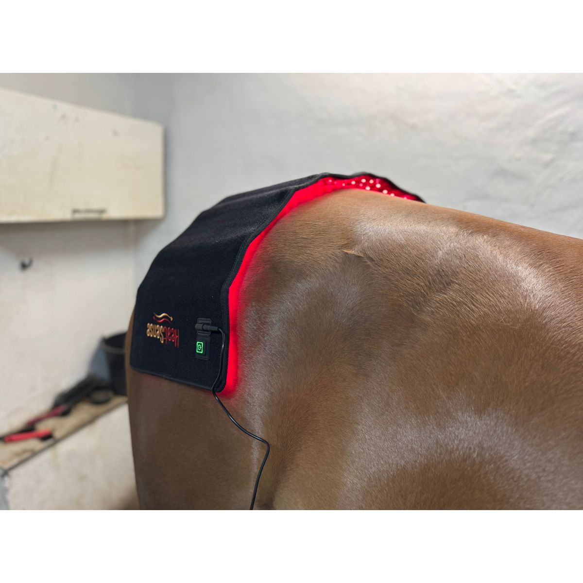 Rød lys terapi stor pad til hest – Heat Sense Horse - Red light therapy