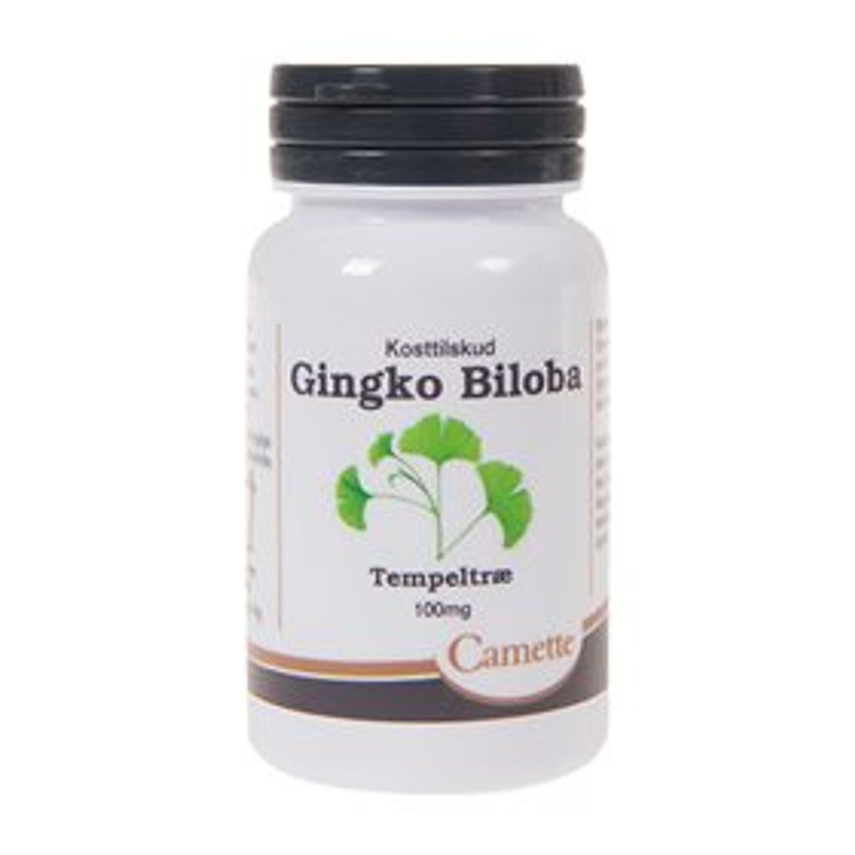 Camette Gingko Biloba 100 mg - 90 tab.