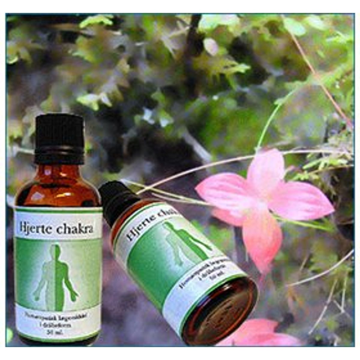 Holistica-Medica Hjerte chakra &bull; 50ml.