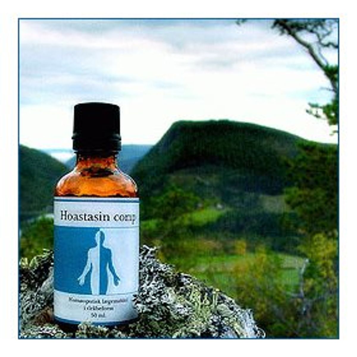 Holistica-Medica Hoastasin comp. &bull; 50ml.