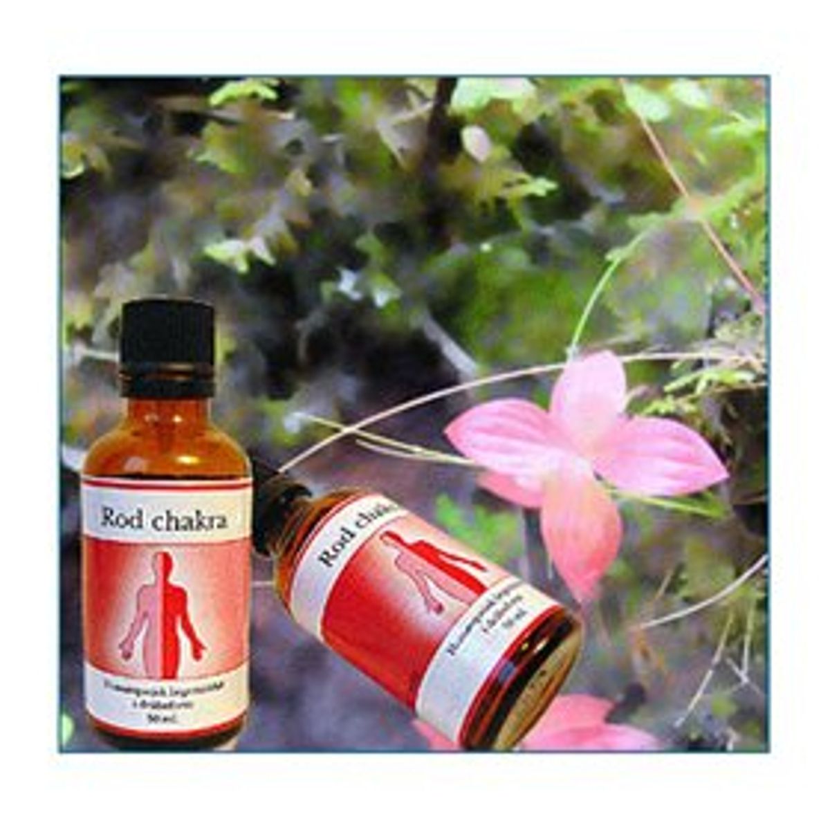 Holistica Rod feminin chakra 50ml.