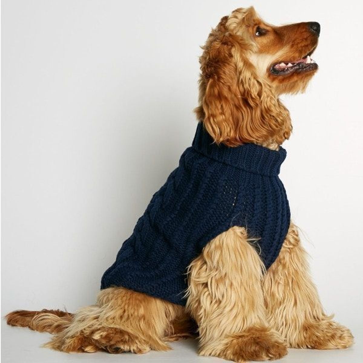 John B. Sweater // Hundesweater i merinould og cashmere (navy) S og L - S