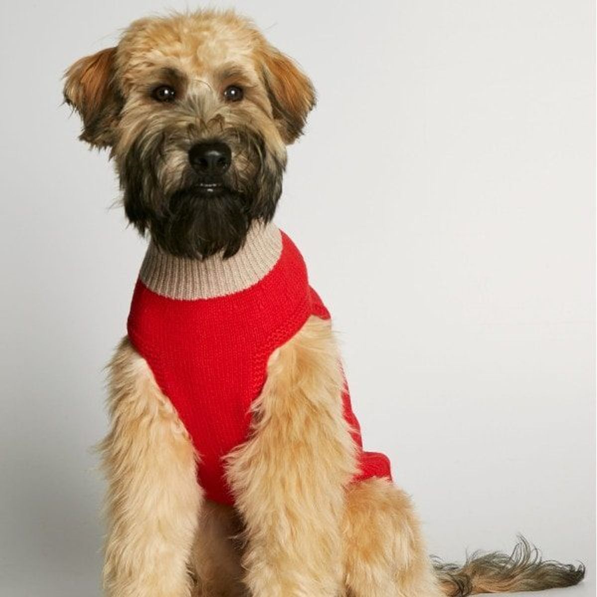 Mark R. Sweater // Hundesweater i merinould og cashmere (rød) XL