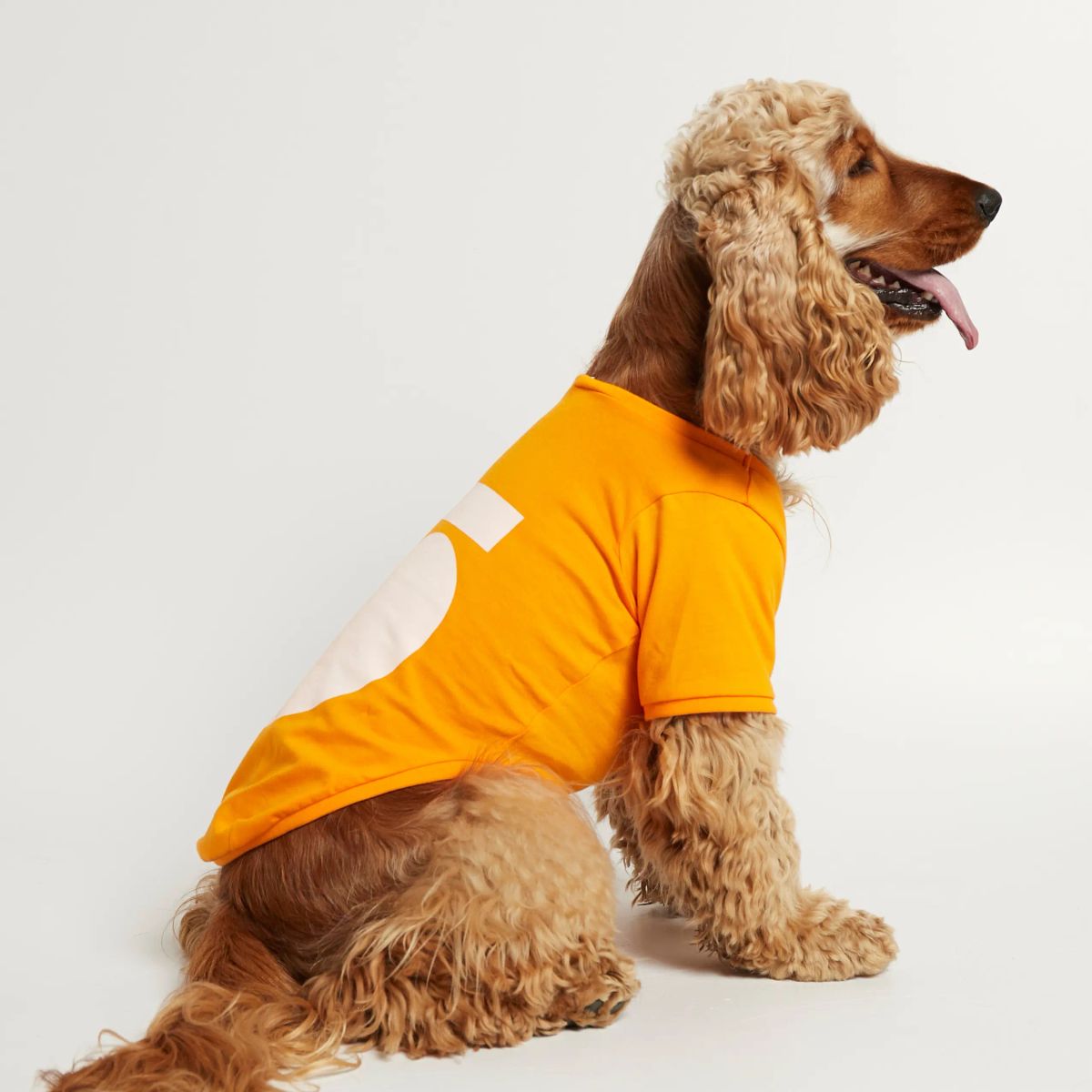 Imi T-shirt // Hundetrøje med ærmer i økologisk bomuld (orange) - S