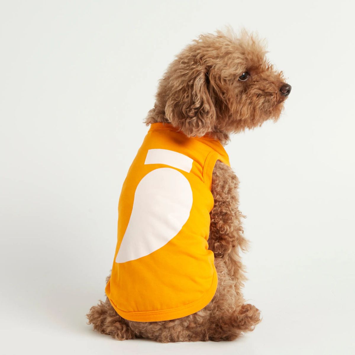 Imi Bodysuit // Hundetrøje i økologisk bomuld (orange) - S