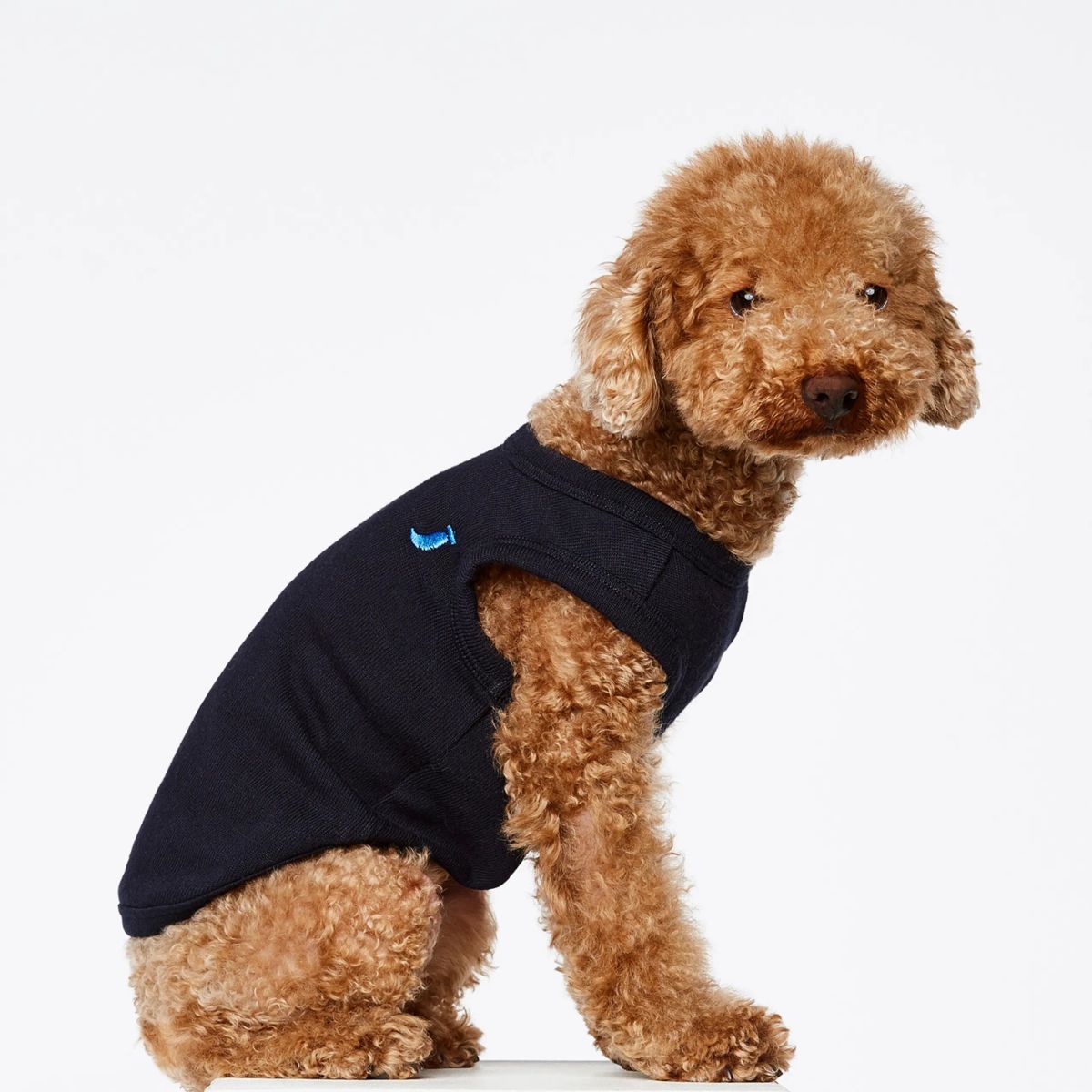 Josef Bodysuit // Hundetrøje i økologisk bomuld (navy) XS og XL - XL