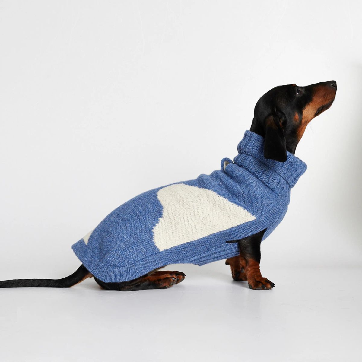 Rene Sweater // Hundesweater med adgang til sele (blå) - XL