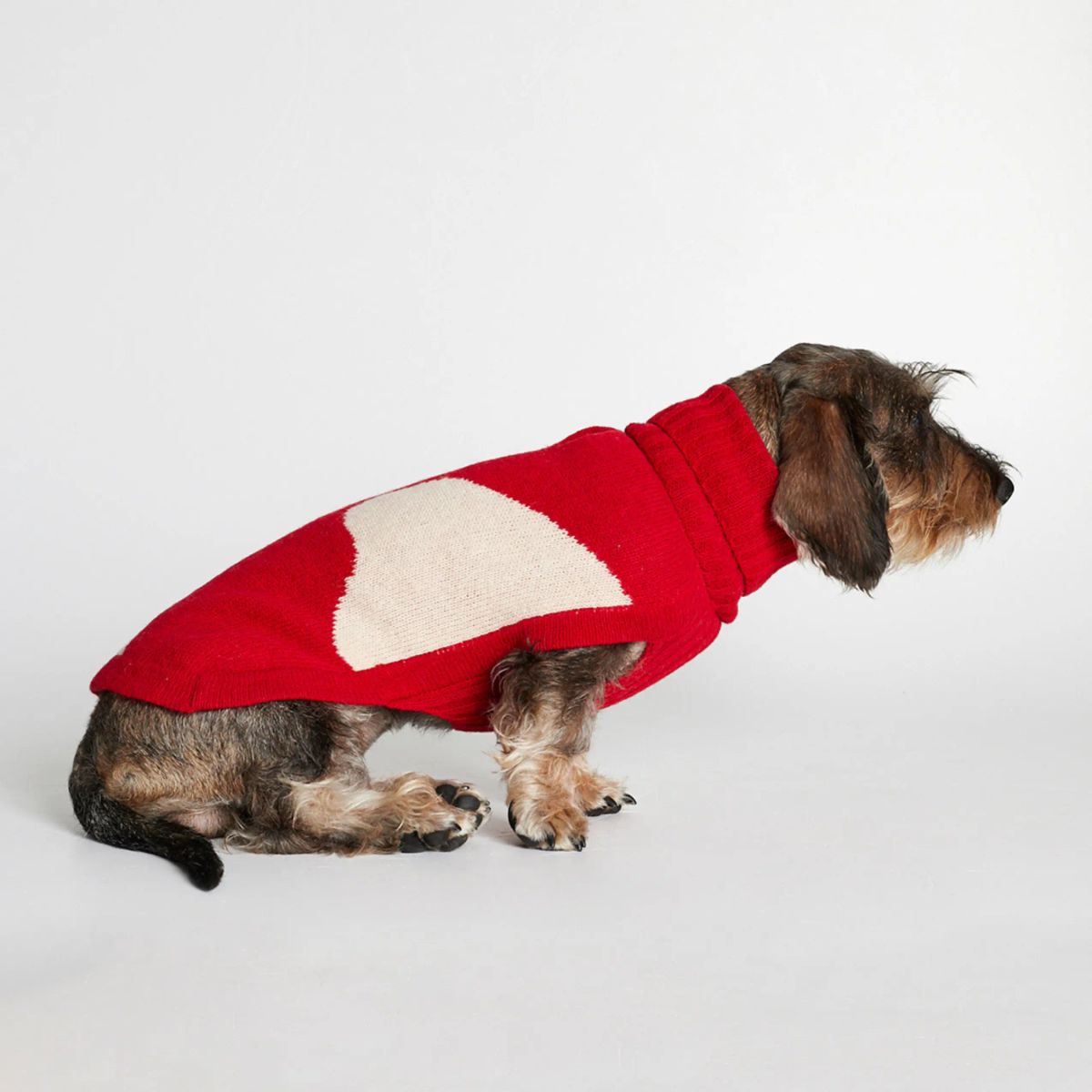 Rene Sweater // Hundesweater med adgang til sele (rød) - M