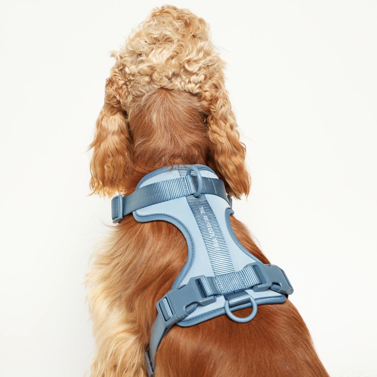 Rose W. Harness // Robust og justerbar hundesele (blå) - S