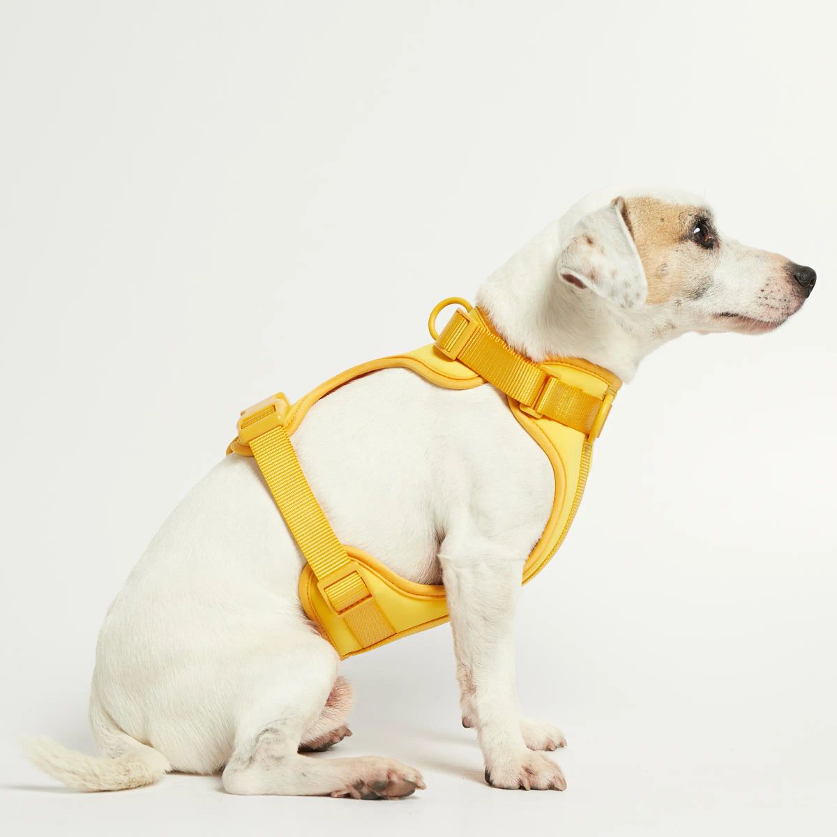 Rose W. Harness // Robust og justerbar hundesele (gul) - XS