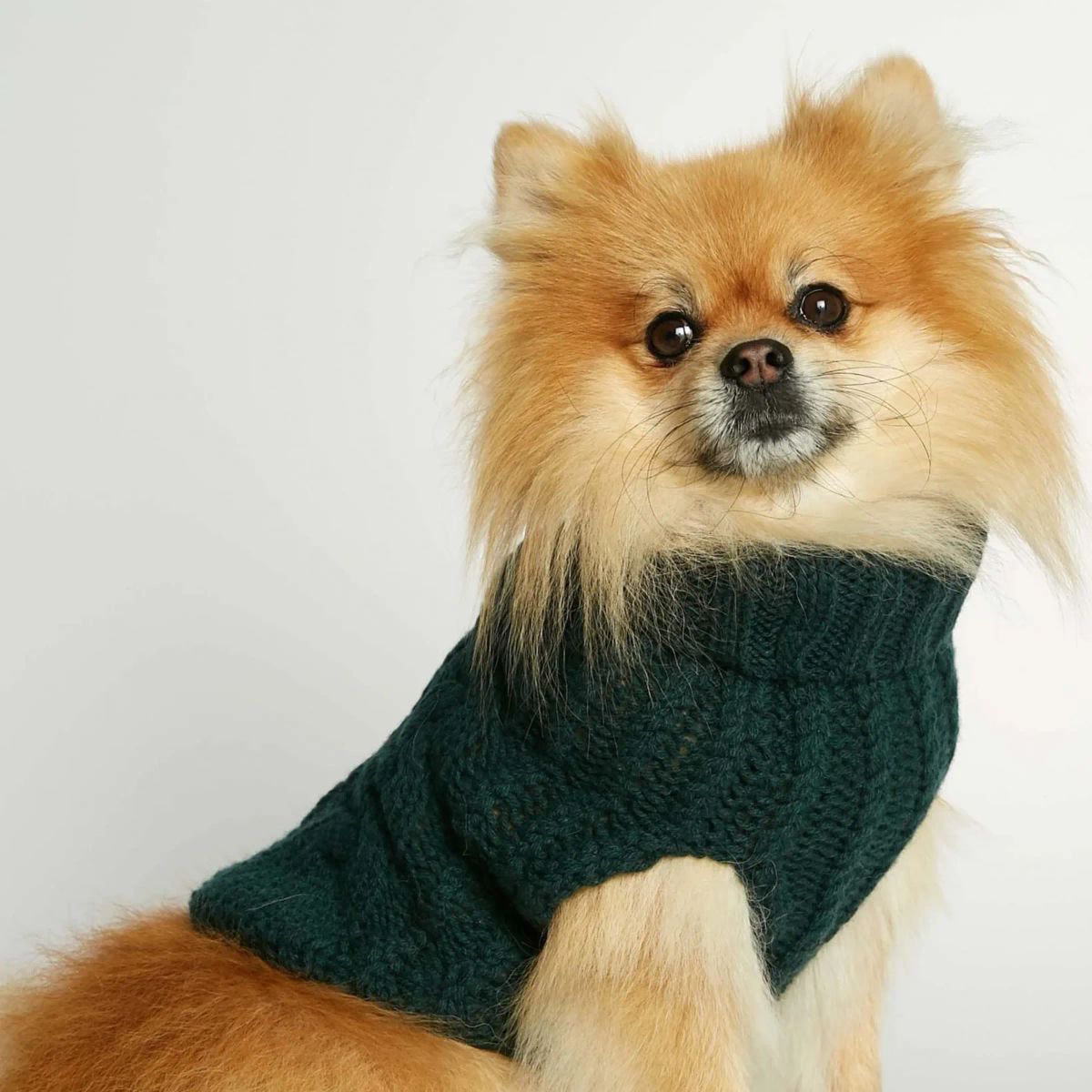 John B. Sweater // Hundesweater i merinould og cashmere (mørkegrøn) - L