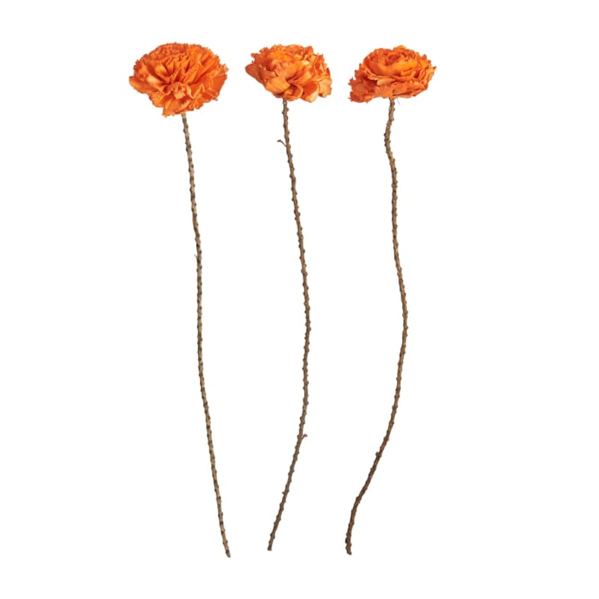 Speedtsberg Blomst Stilk - 10x70cm - Orange