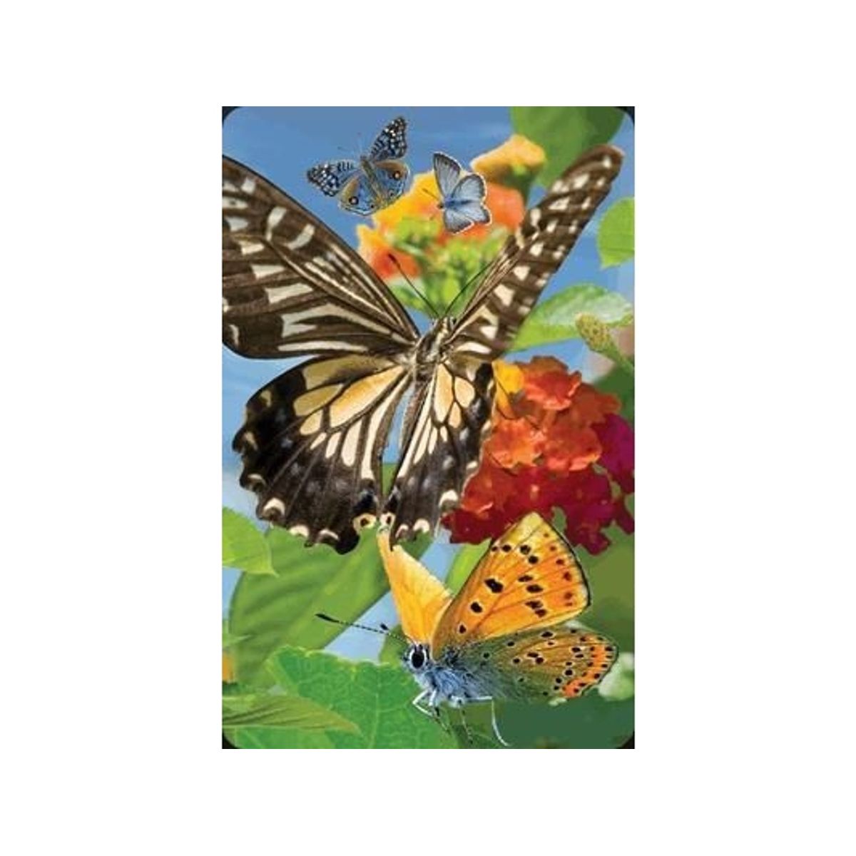 Worth-Keeping 3D Butterfly Mini Card