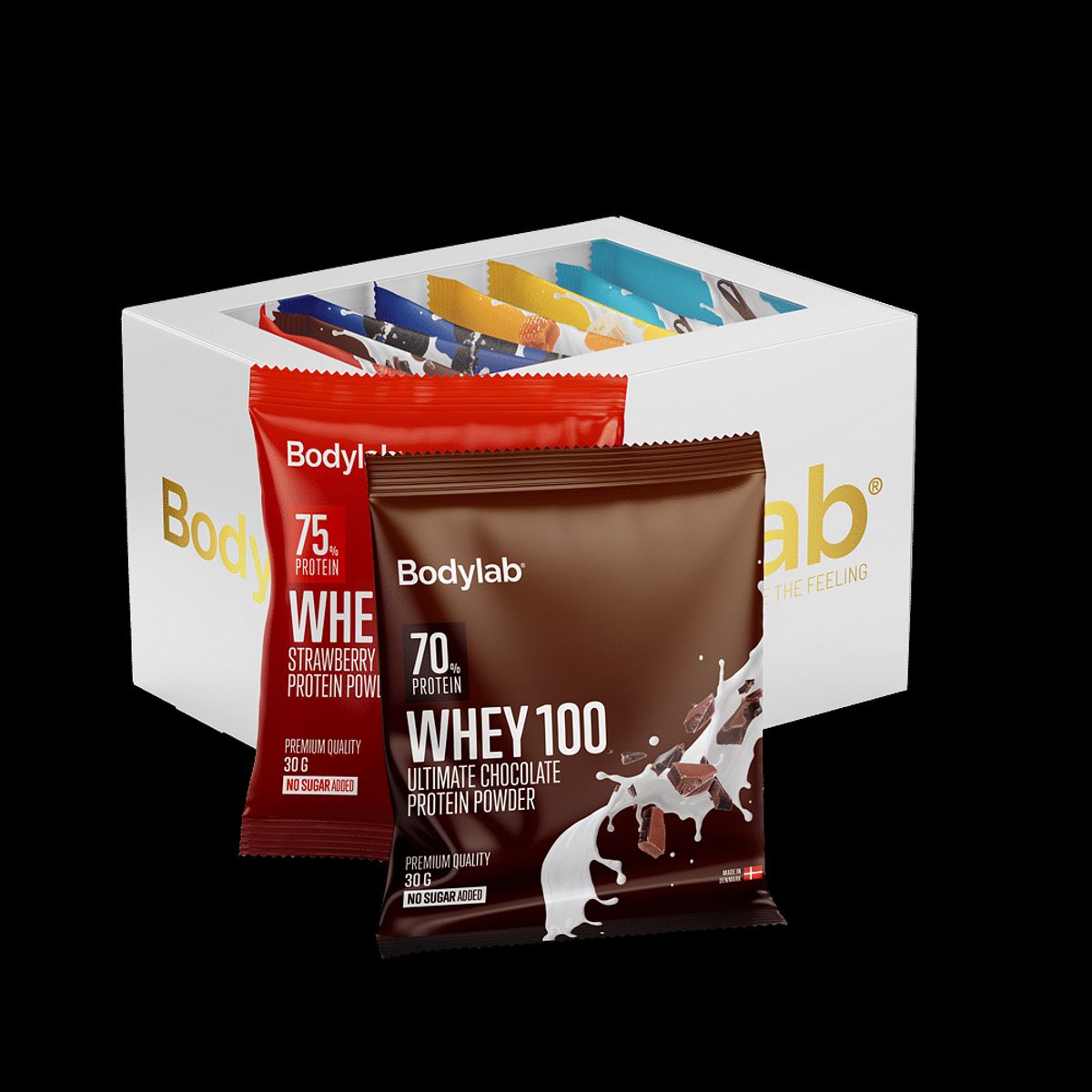 Whey 100 (12 x 30 g)