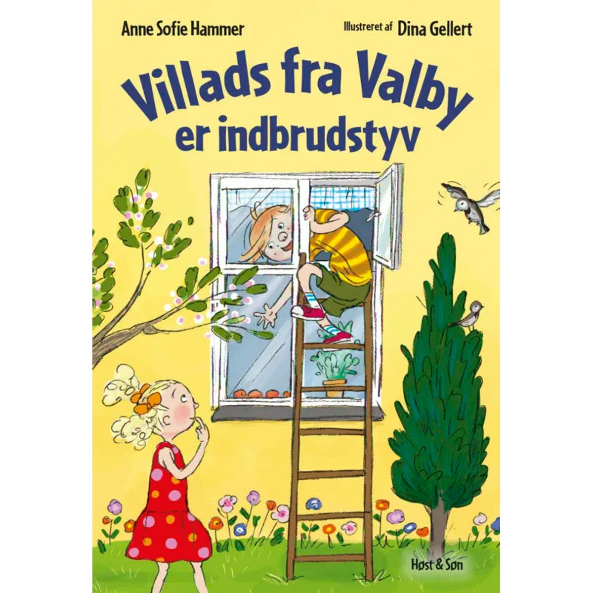 Villads fra Valby er indbrudstyv