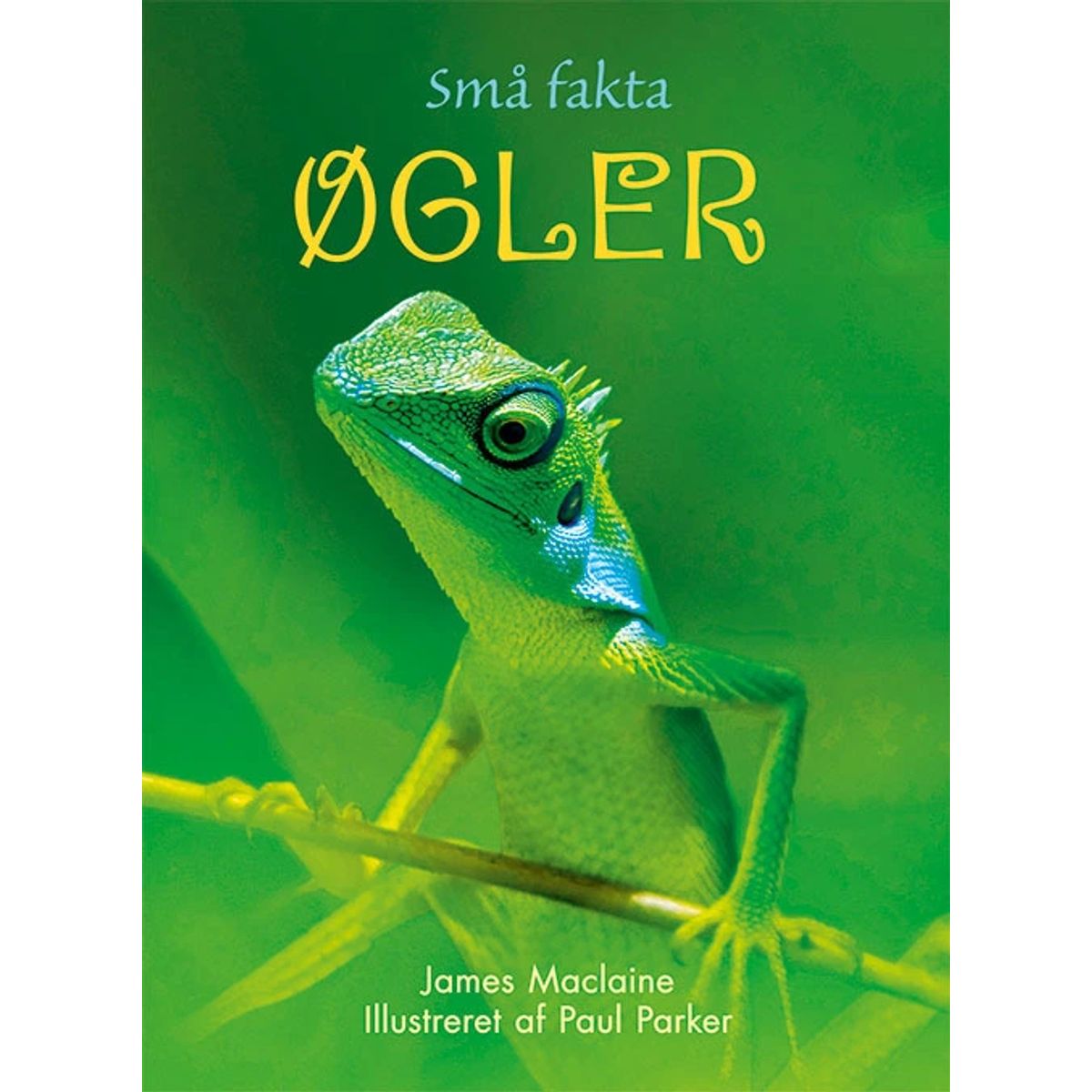 Små Fakta: Øgler