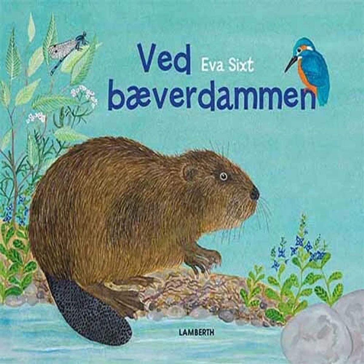 Ved bæverdammen