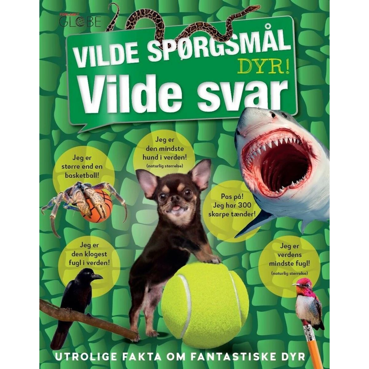 Vilde spørgsmål - Vilde svar - Dyr