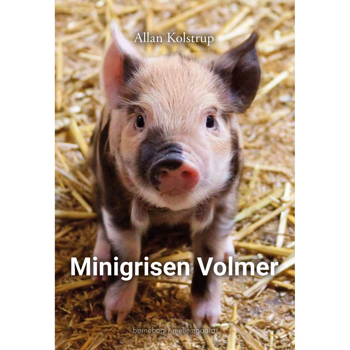 Minigrisen Volmer