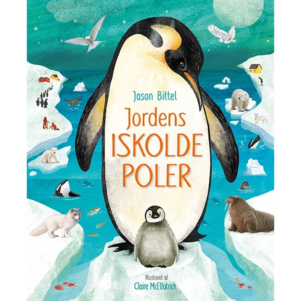 Jordens iskolde poler