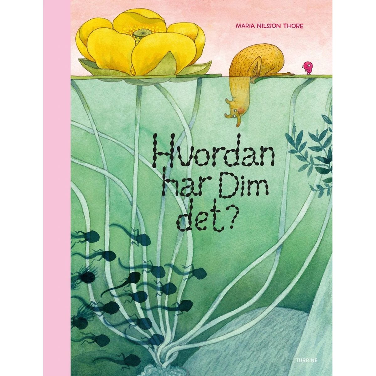 Hvordan har Dim det?