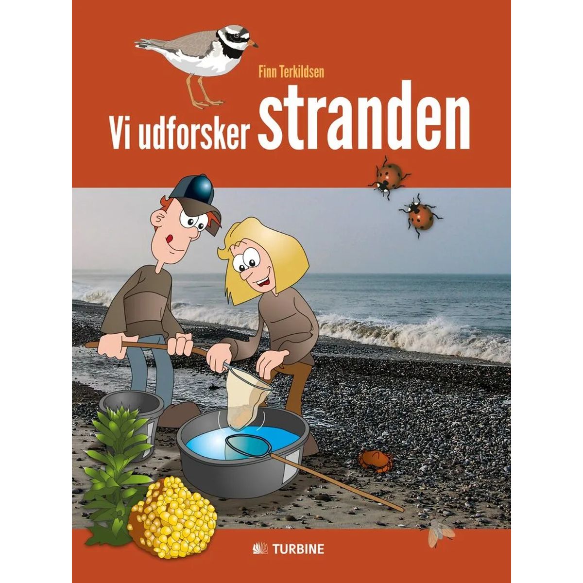 Vi udforsker stranden