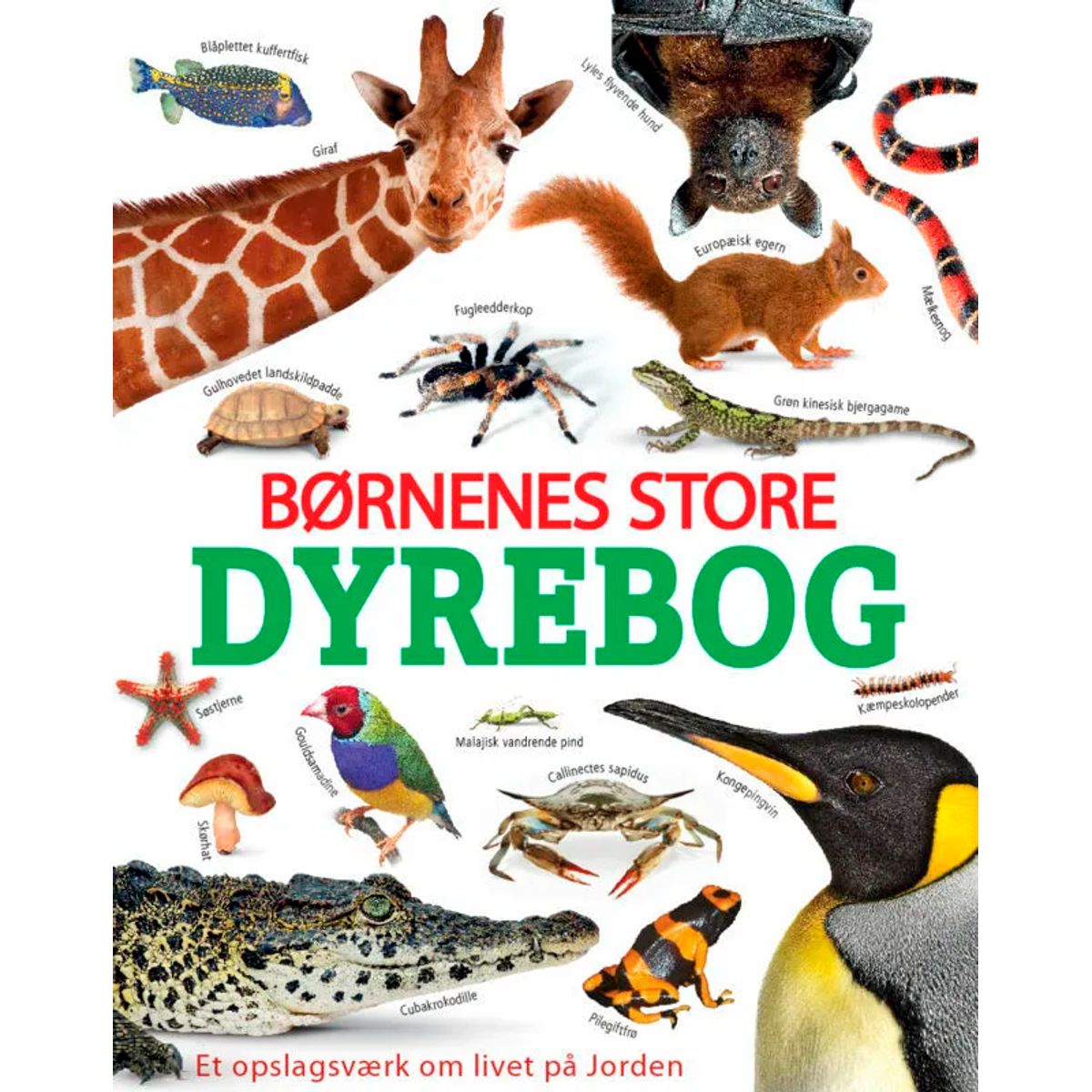 Børnenes store dyrebog